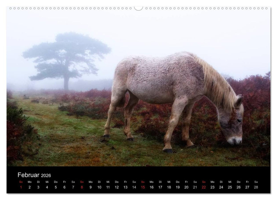 New Forest - England (CALVENDO Premium Wandkalender 2026)