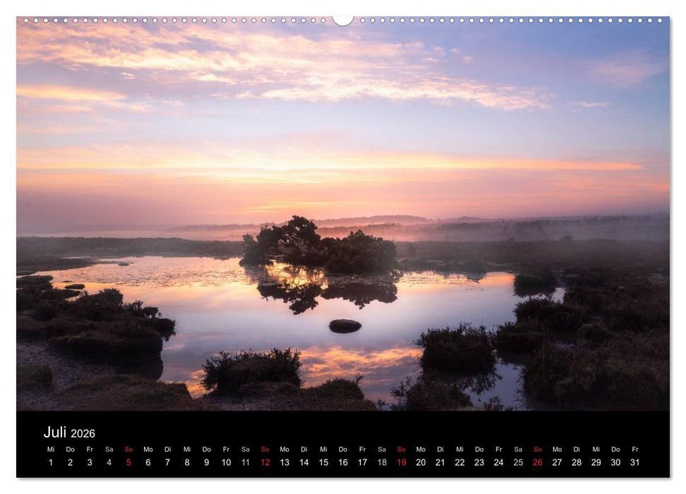 New Forest - England (CALVENDO Premium Wandkalender 2026)