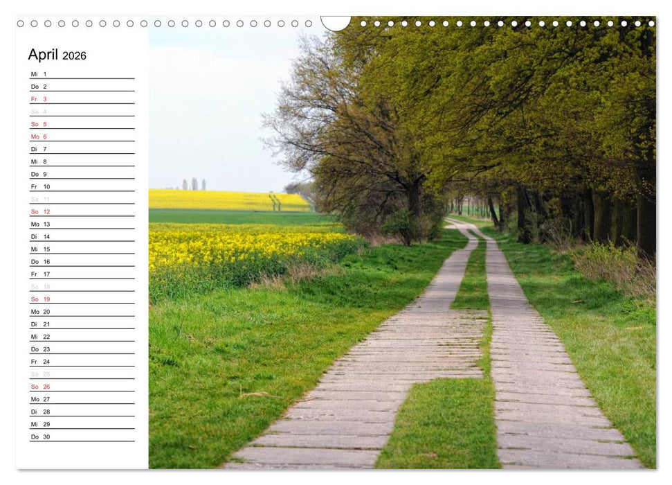 Vier Jahreszeiten im Land Brandenburg (CALVENDO Wandkalender 2026)