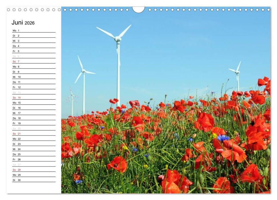 Vier Jahreszeiten im Land Brandenburg (CALVENDO Wandkalender 2026)