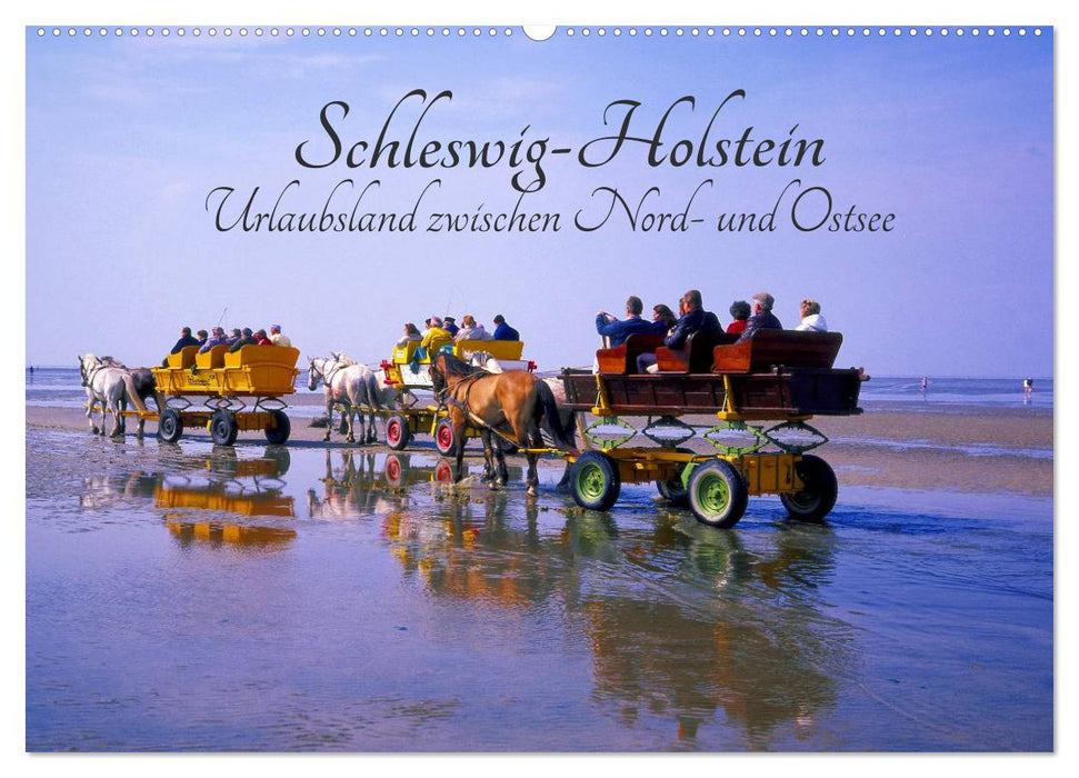 Schleswig-Holstein, Urlaubsland zwischen Nord- und Ostsee (CALVENDO Wandkalender 2026)