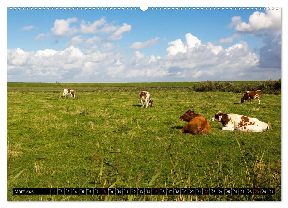 Grüße von Pellworm (CALVENDO Premium Wandkalender 2026)