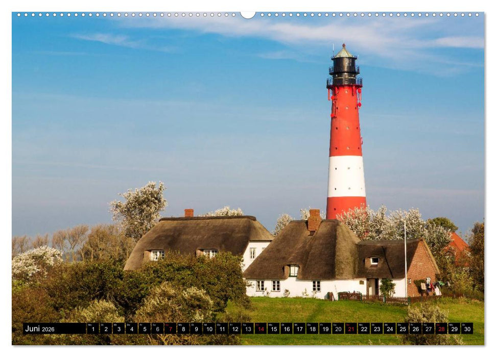 Grüße von Pellworm (CALVENDO Premium Wandkalender 2026)