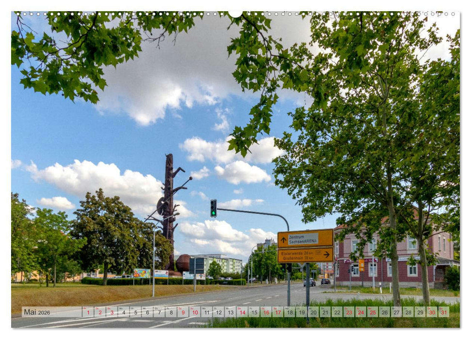 Unterwegs in Riesa (CALVENDO Wandkalender 2026)