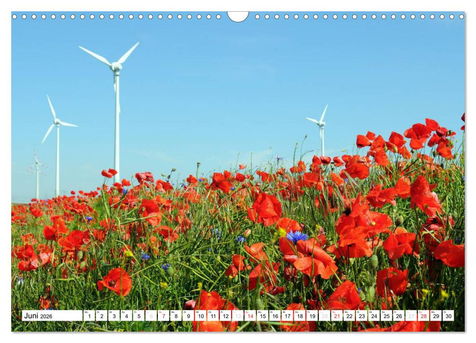 Vier Jahreszeiten im Land Brandenburg (CALVENDO Wandkalender 2026)