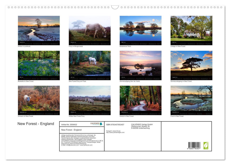 New Forest - England (CALVENDO Wandkalender 2026)
