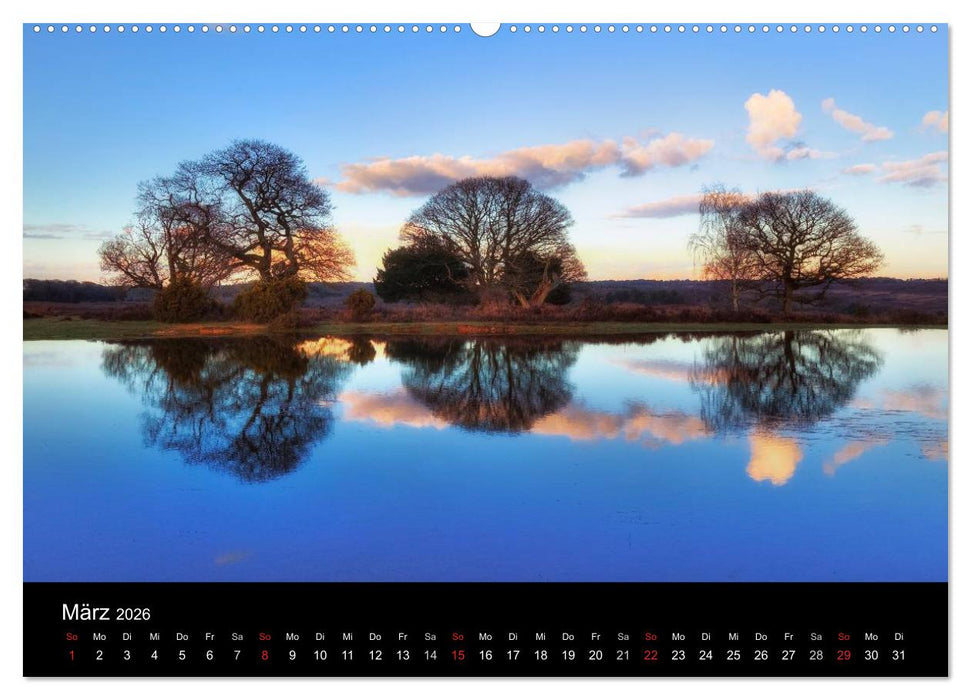 New Forest - England (CALVENDO Wandkalender 2026)