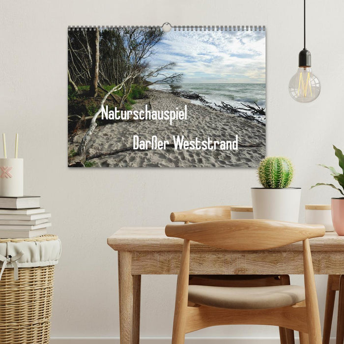 Naturschauspiel Darßer Weststrand (CALVENDO Wandkalender 2026)
