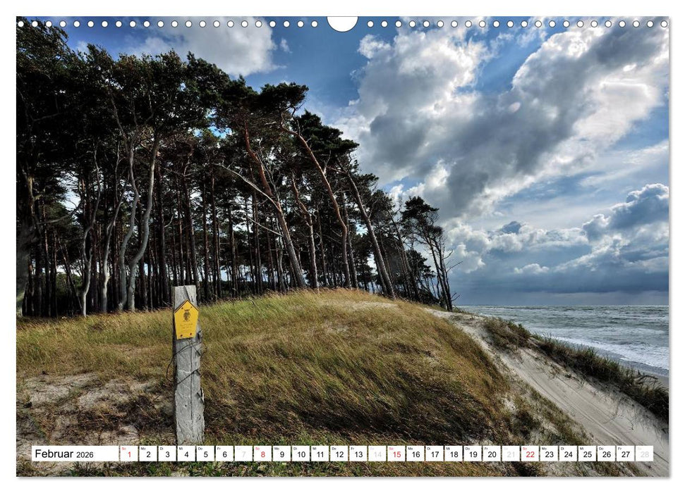 Naturschauspiel Darßer Weststrand (CALVENDO Wandkalender 2026)