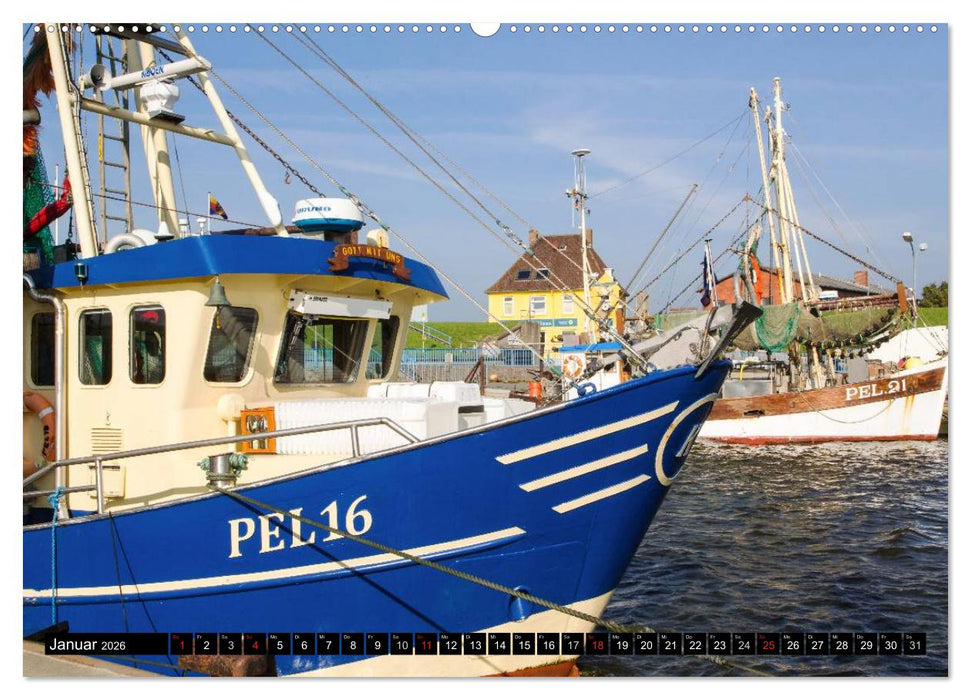 Grüße von Pellworm (CALVENDO Wandkalender 2026)