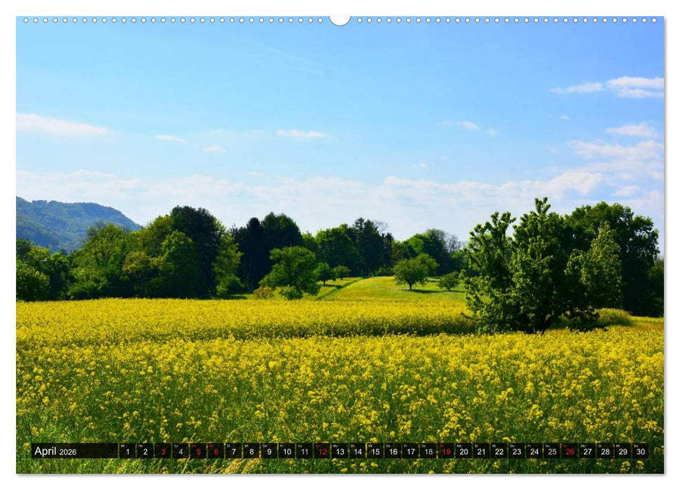 Eindrucksvolle Landschaften (CALVENDO Premium Wandkalender 2026)