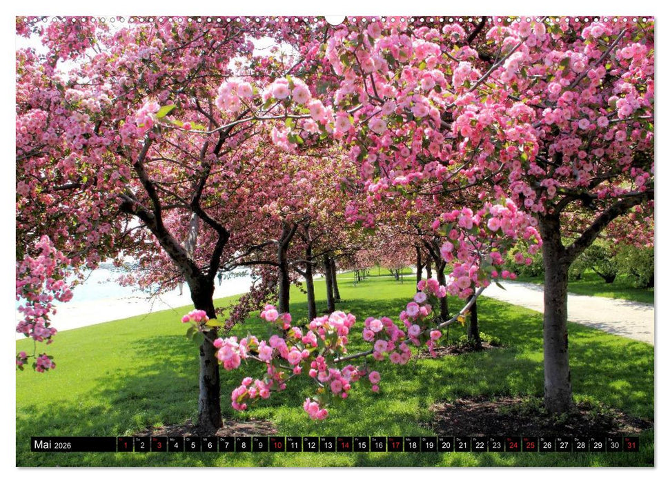 Unterwegs auf einsamen Wegen (CALVENDO Premium Wandkalender 2026)