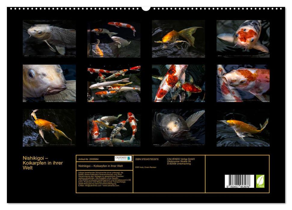 Nishikigoi – Koikarpfen in ihrer Welt (CALVENDO Premium Wandkalender 2026)