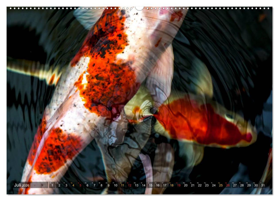 Nishikigoi – Koikarpfen in ihrer Welt (CALVENDO Premium Wandkalender 2026)