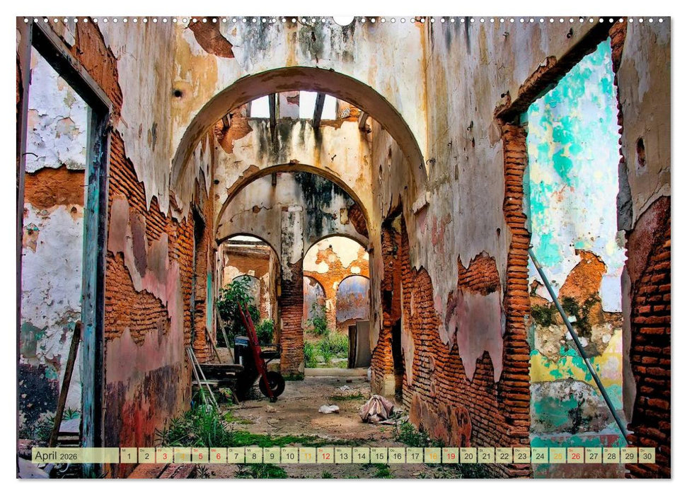 Die großen Antillen - Puerto Rico (CALVENDO Premium Wandkalender 2026)