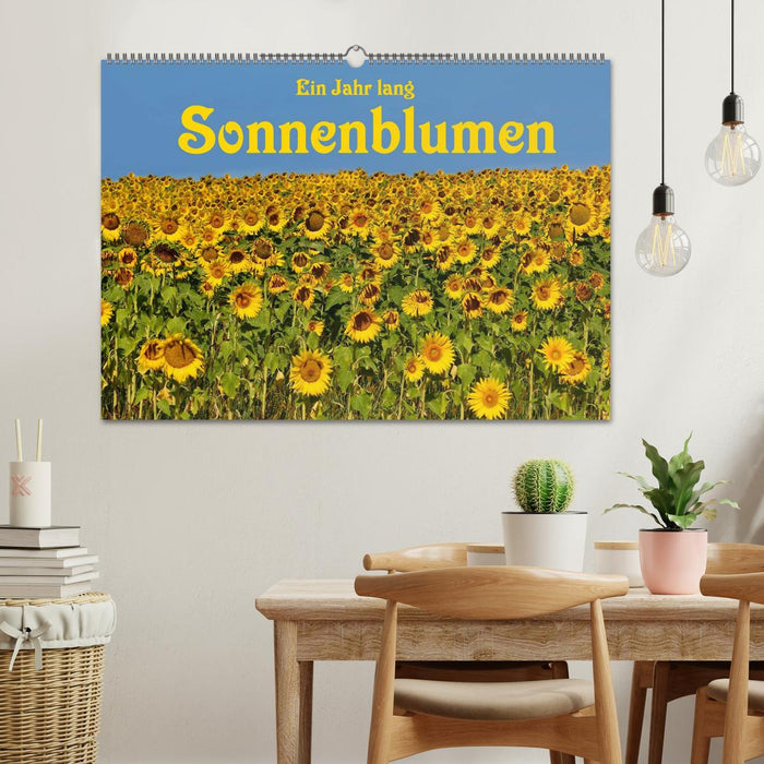 Ein Jahr lang Sonnenblumen (CALVENDO Wandkalender 2026)