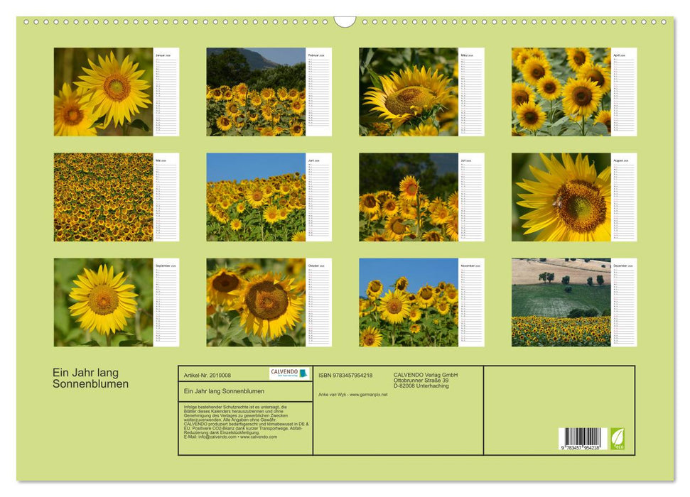 Ein Jahr lang Sonnenblumen (CALVENDO Wandkalender 2026)