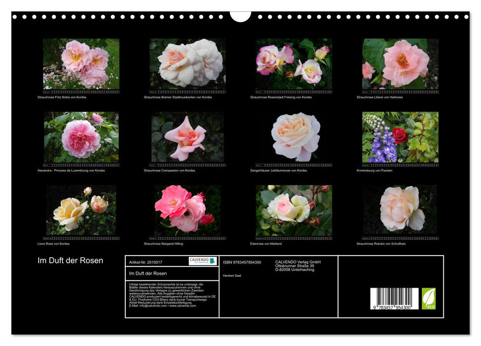 Im Duft der Rosen (CALVENDO Wandkalender 2026)