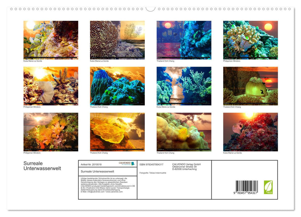 Surreale Unterwasserwelt (CALVENDO Premium Wandkalender 2026)