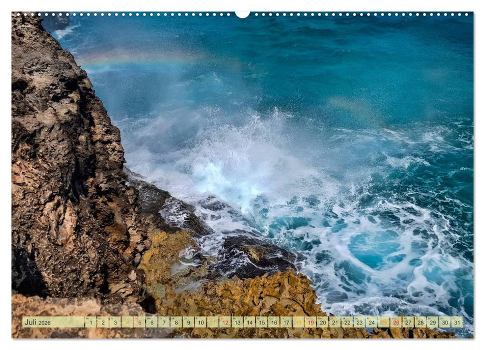 Die großen Antillen - Dominikanische Republik (CALVENDO Premium Wandkalender 2026)