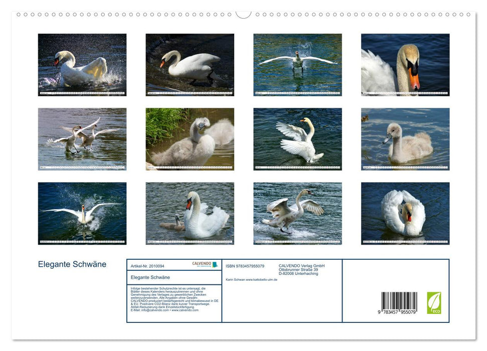 Elegante Schwäne (CALVENDO Premium Wandkalender 2026)