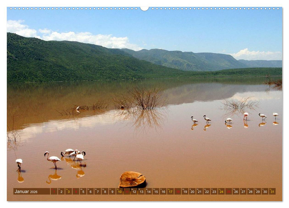 Ostafrikas Traumlandschaften. Kenia - Tansania - Sansibar - Äthiopien (CALVENDO Wandkalender 2026)