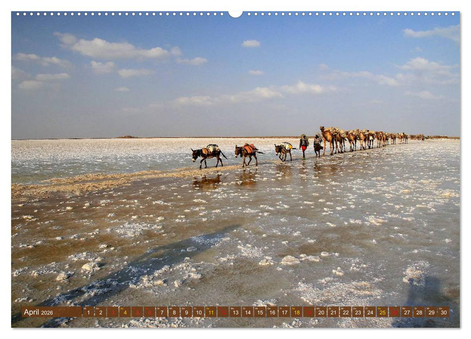 Ostafrikas Traumlandschaften. Kenia - Tansania - Sansibar - Äthiopien (CALVENDO Wandkalender 2026)