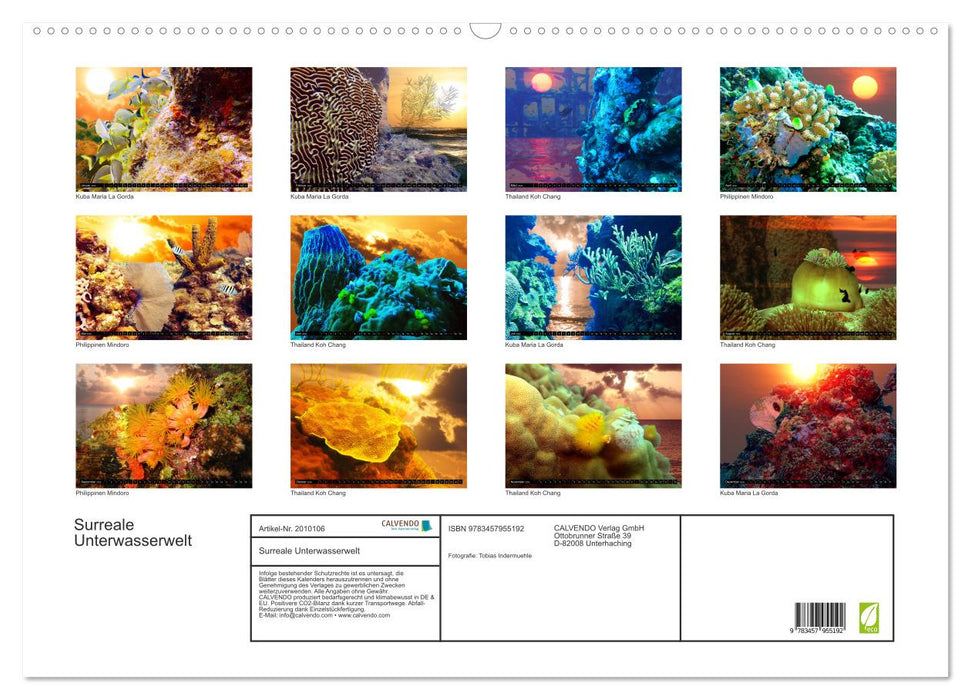 Surreale Unterwasserwelt (CALVENDO Wandkalender 2026)