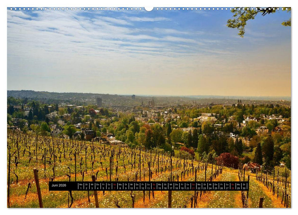 Wiesbaden Aquis Mattiacis (CALVENDO Premium Wandkalender 2026)