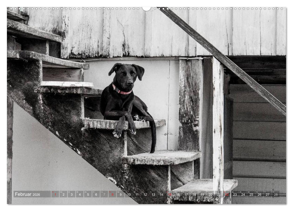 Belize - Guatemala (CALVENDO Premium Wandkalender 2026)