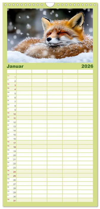 Wilde Tierwelt im Wald (CALVENDO Familienplaner 2026)