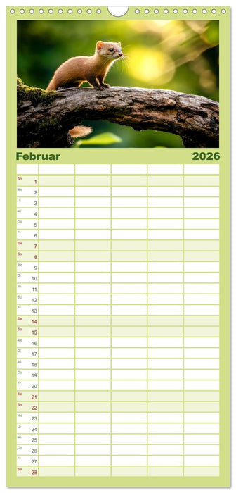 Wilde Tierwelt im Wald (CALVENDO Familienplaner 2026)