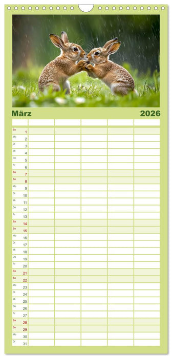 Wilde Tierwelt im Wald (CALVENDO Familienplaner 2026)