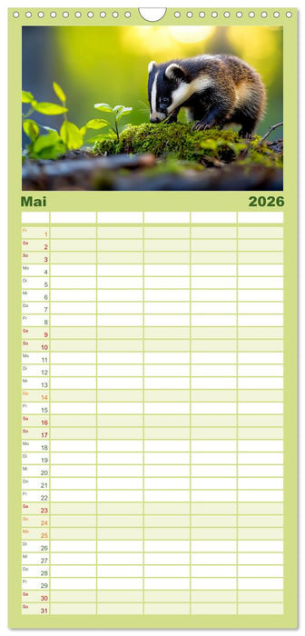 Wilde Tierwelt im Wald (CALVENDO Familienplaner 2026)