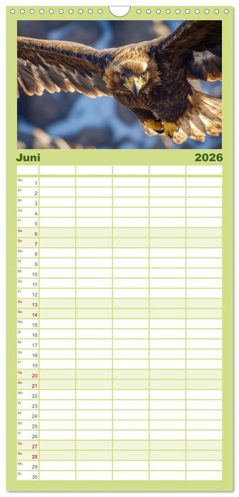 Wilde Tierwelt im Wald (CALVENDO Familienplaner 2026)