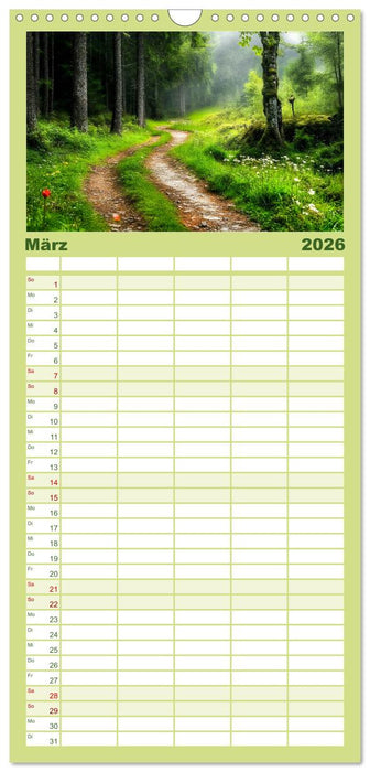 Mystik der Wälder (CALVENDO Familienplaner 2026)