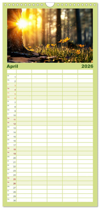 Mystik der Wälder (CALVENDO Familienplaner 2026)