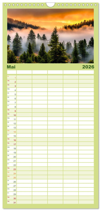 Mystik der Wälder (CALVENDO Familienplaner 2026)