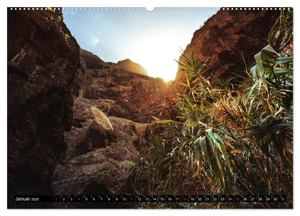 Teneriffa - Insel der Vielfalt (CALVENDO Premium Wandkalender 2026)