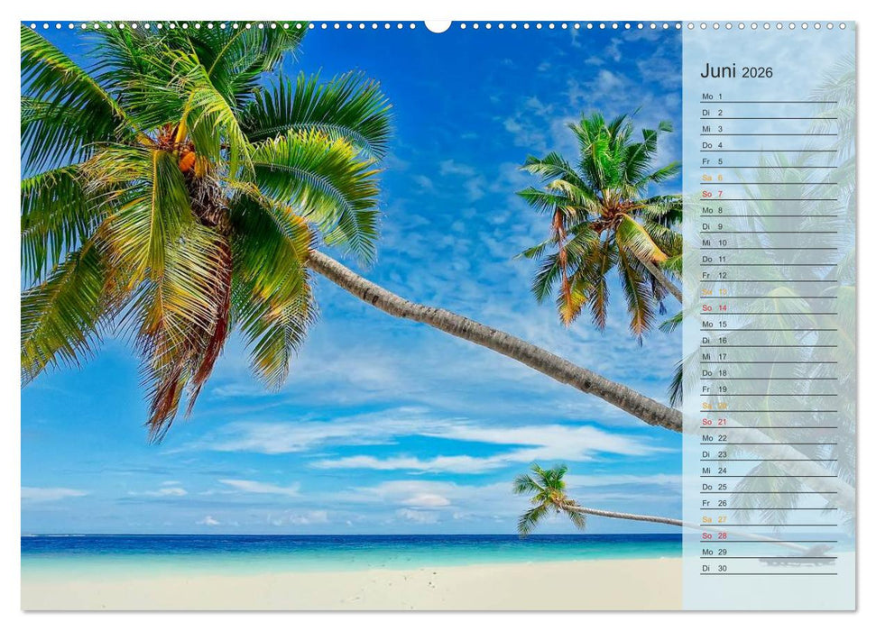 Strände wie ein Traum (CALVENDO Premium Wandkalender 2026)