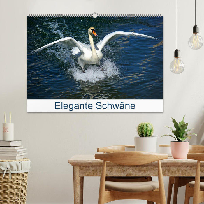 Elegante Schwäne (CALVENDO Wandkalender 2026)