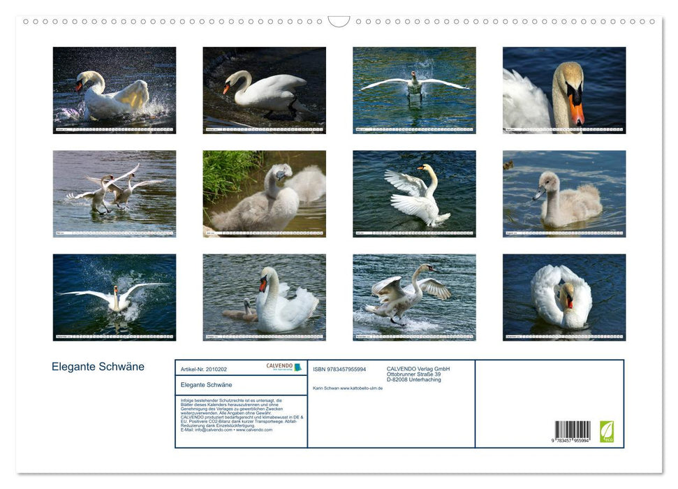 Elegante Schwäne (CALVENDO Wandkalender 2026)