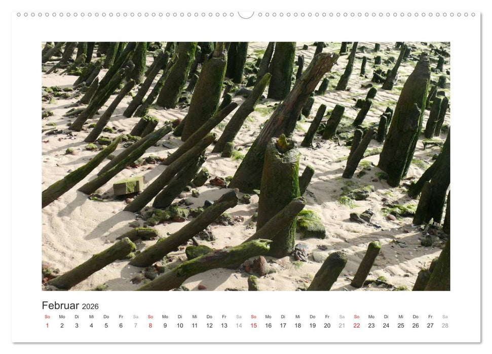 Wangerooge. Der Charme des Ostanlegers (CALVENDO Wandkalender 2026)
