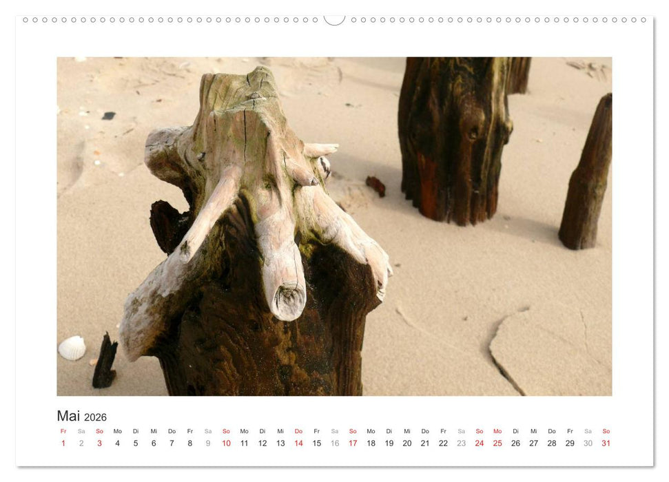 Wangerooge. Der Charme des Ostanlegers (CALVENDO Wandkalender 2026)