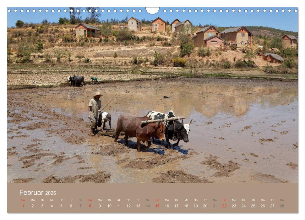 Alltag in Madagaskar (CALVENDO Wandkalender 2026)