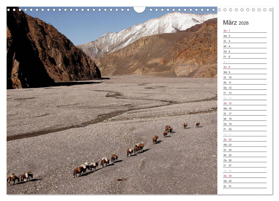 Nepal (CALVENDO Wandkalender 2026)