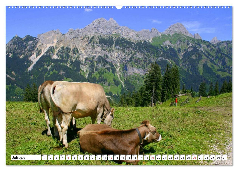 Geliebtes Tirol. Alpiner Zauber in Österreich (CALVENDO Premium Wandkalender 2026)