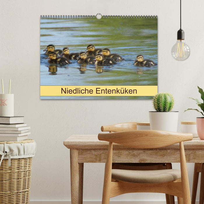 Niedliche Entenküken (CALVENDO Wandkalender 2026)