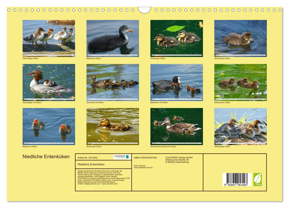 Niedliche Entenküken (CALVENDO Wandkalender 2026)