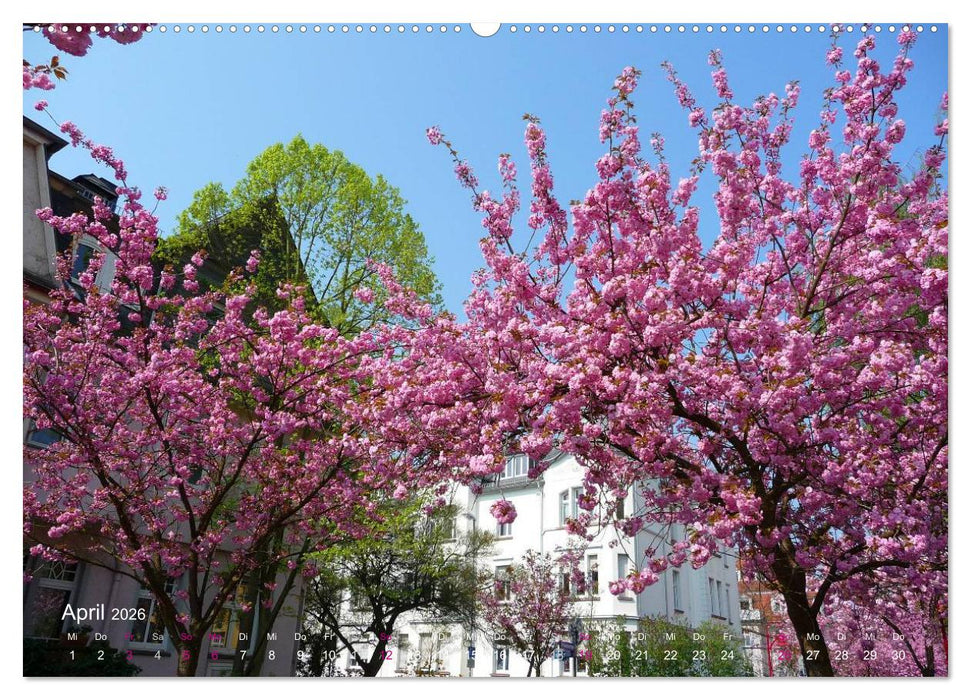 Marburg 2026 (CALVENDO Premium Wandkalender 2026)